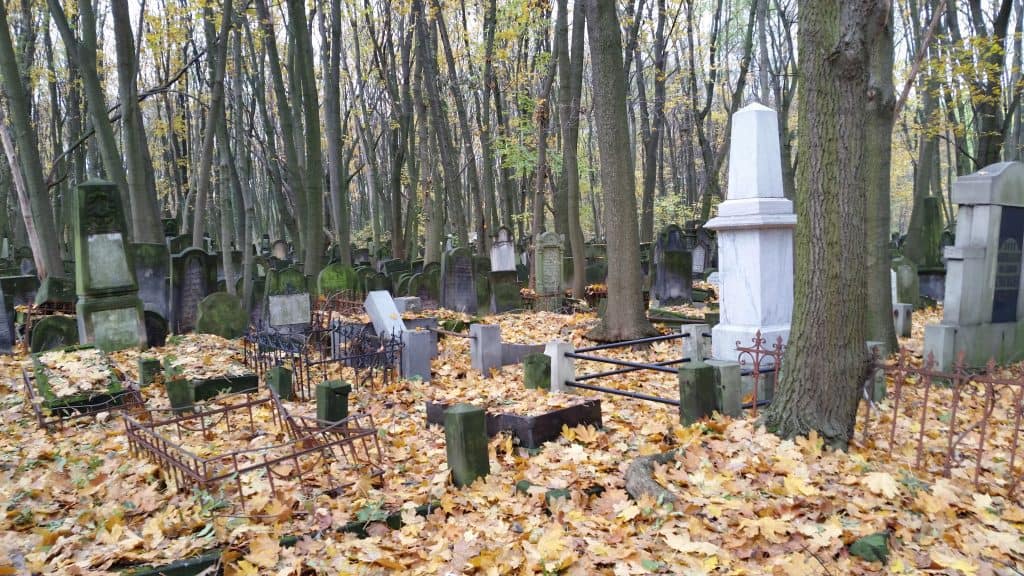 warsaw-jewish-cemetery